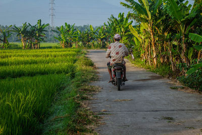 Rear view of man riding motorcycle on road