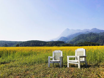 Rapeseed field with the blue sky and mountains on the background. yellow flowers field.