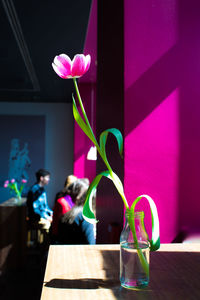 Close-up of multi colored balloons on table