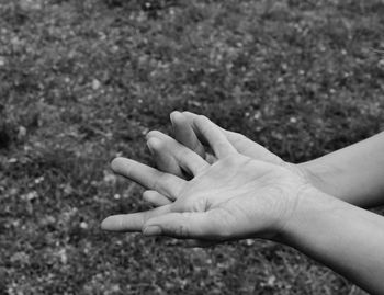 Cropped image of person hands against field