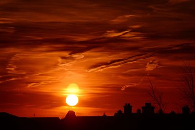 Silhouette of trees at sunset