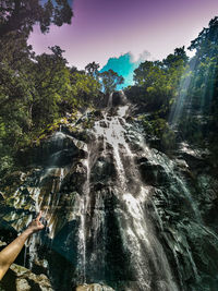 Scenic view of waterfall in forest