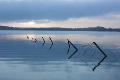 Silhouette birds by lake against sky during sunset