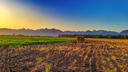 Scenic view of agricultural field against sky at sunset