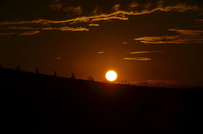 Silhouette of trees at sunset