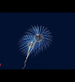 Low angle view of firework display at night