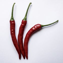 Close-up of chili pepper against white background