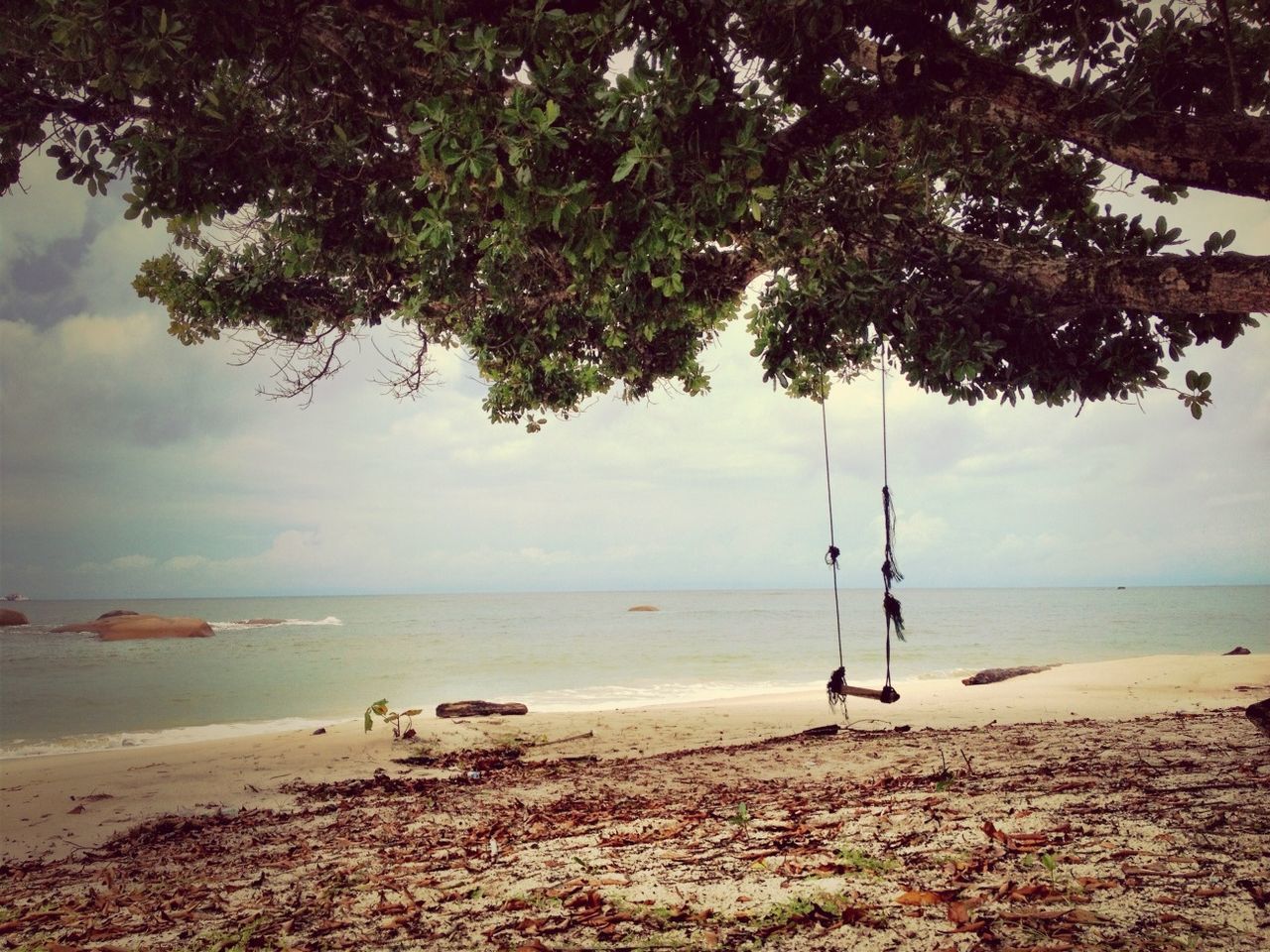 sea, beach, water, horizon over water, shore, tranquility, tranquil scene, scenics, sky, beauty in nature, sand, nature, tree, coastline, idyllic, calm, outdoors, no people, remote, non-urban scene