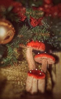 Close-up of christmas decoration