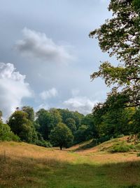 Trees on field against sky
