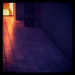 High angle view of tiled floor