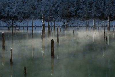 Wooden poles in calm lake