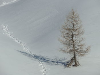 High angle view of snow covered land