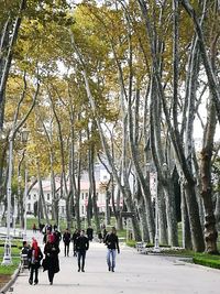 People walking in park