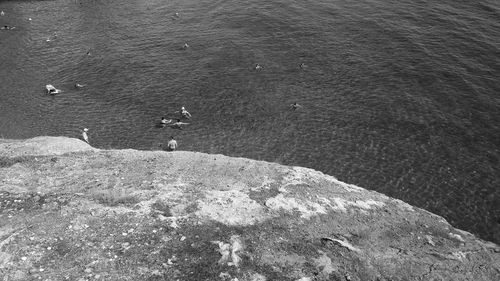 High angle view of man on rock by sea