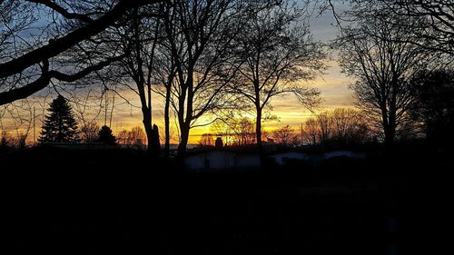 Silhouette of trees against sky during sunset