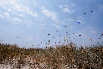 Low angle view of colorful kites flying over landscape against sky