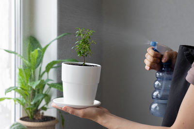 Midsection of man holding glass of potted plant