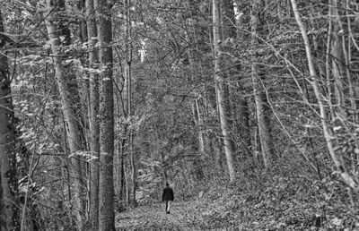 Rear view of woman walking in forest during winter