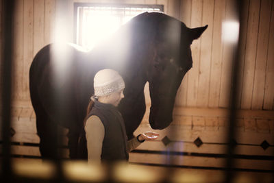 Girl feeding horse while standing in stable