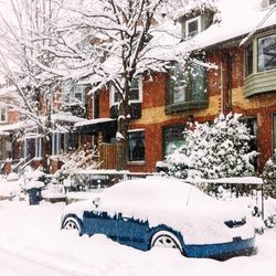 Snow covered trees in winter