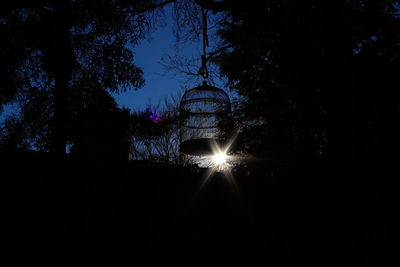 Low angle view of trees at night