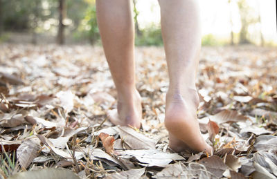 Low section of man standing on dry leaves