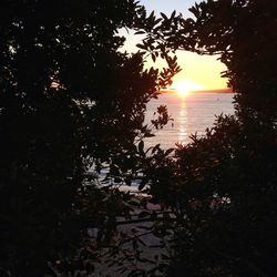 Scenic view of sunset over sea