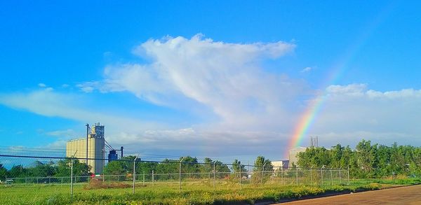 Rainbow over field against sky