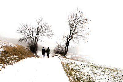 Rear view of people walking on snow covered landscape