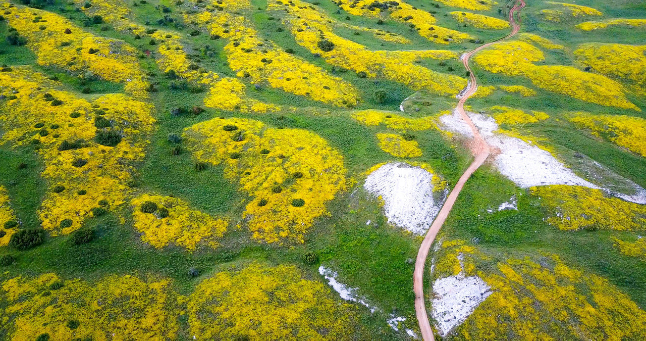 Galicica mountain