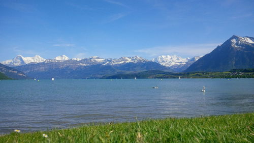 Scenic view of lake and mountains against blue sky