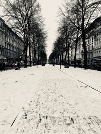 Bare trees in city during winter