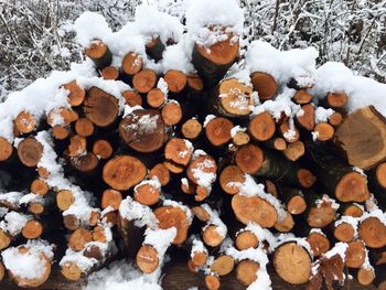 Stack of logs in snow