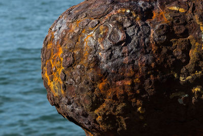 Close-up of rusty metal against tagus river