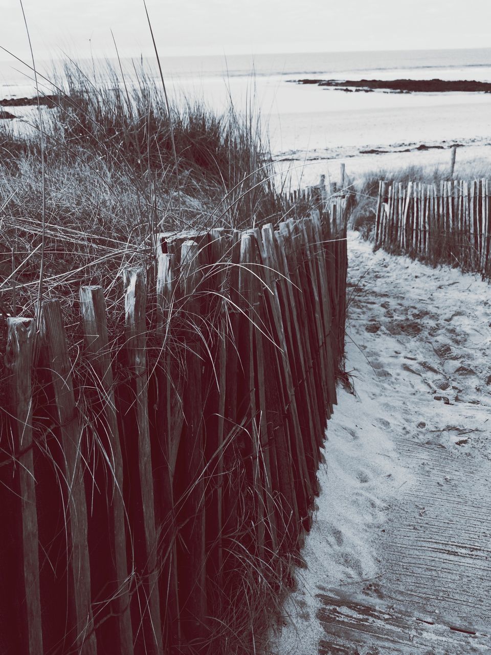 cold temperature, winter, water, snow, weather, nature, season, frozen, wet, sky, tranquility, beach, field, fence, no people, day, outdoors, tranquil scene, plant, beauty in nature