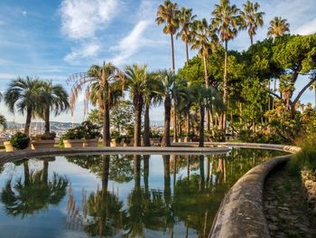 Palm trees by swimming pool against sky