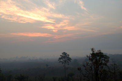 Trees on landscape against sky during sunset