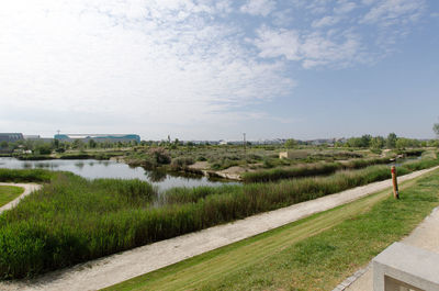 Scenic view of field against sky