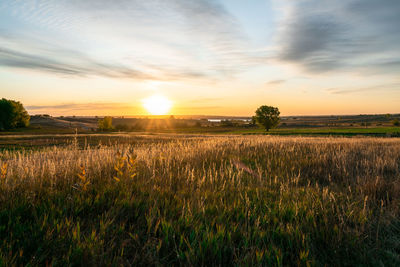 Scenic view of field against sky during sunset