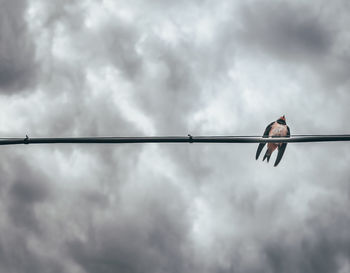 Low angle view of bird perching on cable against cloudy sky