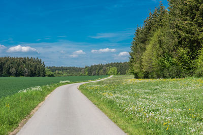 Road amidst trees against sky