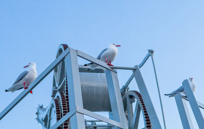 Low angle view of seagulls perching on machinery against clear sky