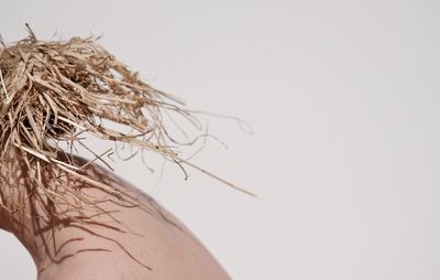 Close-up of woman against white background