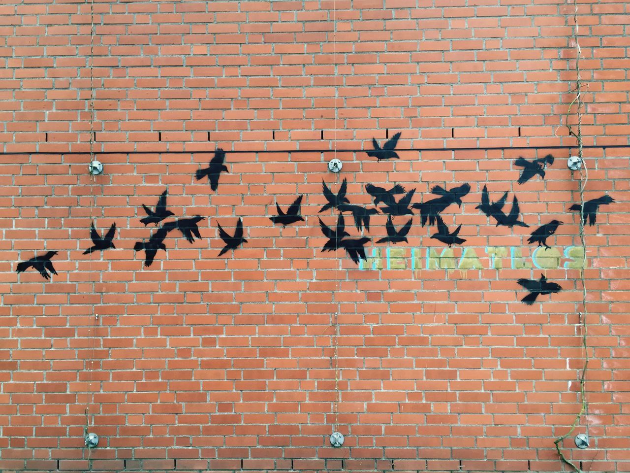 brick wall, bird, built structure, architecture, building exterior, wall - building feature, animal themes, full frame, wildlife, animals in the wild, backgrounds, brick, pattern, outdoors, flock of birds, day, red, pigeon, wall