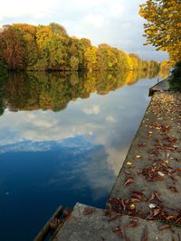 Reflection of trees in water