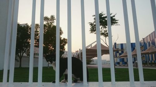 Panoramic shot of building and trees against sky