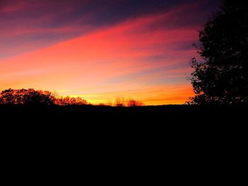 Silhouette of trees at sunset