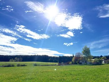 Scenic view of grassy field against sky