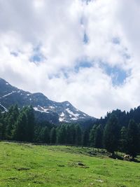 Scenic view of field against sky